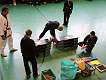2004_0327orange0102